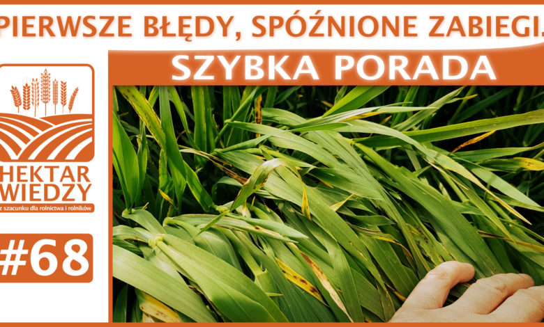 SZYBKA_PORADA_OKLADKA_68