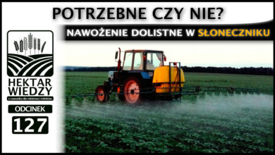 Photo of POTRZEBNE CZY NIE? NAWOŻENIE DOLISTNE W SŁONECZNIKU. | ODCINEK 127