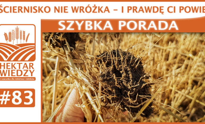 SZYBKA_PORADA_OKLADKA_83