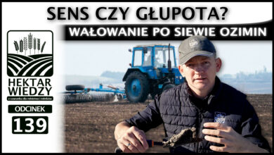 Photo of WAŁOWANIE PO SIEWIE OZIMIN – SENS CZY GŁUPOTA? | ODCINEK 139