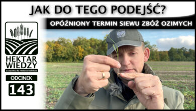 Photo of OPÓŹNIONY TERMIN SIEWU ZBÓŻ OZIMYCH – JAK DO TEGO PODEJŚĆ? | ODCINEK 143