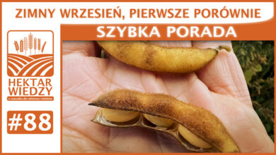 Photo of ZIMNY WRZESIEŃ, PIERWSZE PORÓWNANIE. | SZYBKA PORADA #88