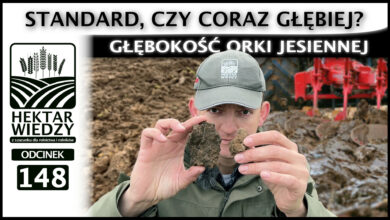 Photo of STANDARD, CZY CORAZ GŁĘBIEJ? GŁĘBOKOŚĆ ORKI JESIENNEJ. | ODCINEK 148