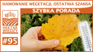 Photo of HAMOWANIE WEGETACJI, OSTATNIA SZANSA. | SZYBKA PORADA #95