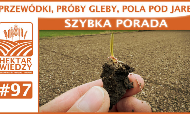 ZYBKA_PORADA_OKLADKA_97