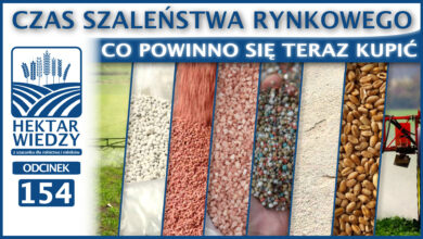 Photo of CZAS SZALEŃSTWA RYNKOWEGO, CZYLI CO POWINNO SIĘ TERAZ KUPIĆ? | ODCINEK 154