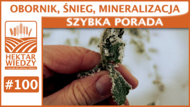 Photo of OBORNIK, ŚNIEG, MINERALIZACJA. | SZYBKA PORADA #100