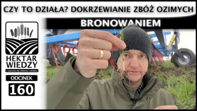 Photo of DOKRZEWIANIE ZBÓŻ OZIMYCH BRONOWANIEM – CZY TO DZIAŁA? | ODCINEK 160