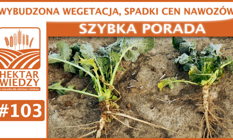 SZYBKA_PORADA_OKLADKA_103