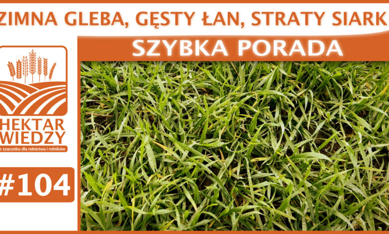 SZYBKA_PORADA_OKLADKA_104