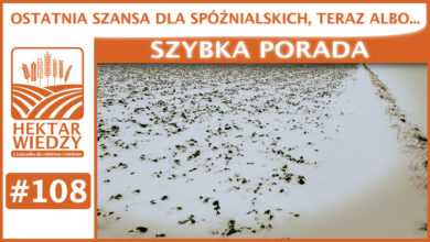 Photo of OSTATNIA SZANSA DLA SPÓŹNIALSKICH. TERAZ ALBO… | SZYBKA PORADA #108