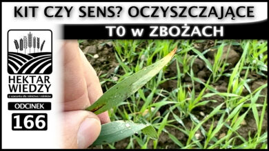 Photo of CZYSZCZĄCE T0 w ZBOŻACH – KIT CZY SENS? | ODCINEK 166