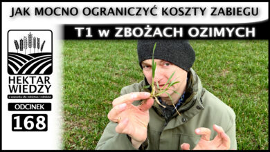 Photo of JAK MOCNO OGRANICZYĆ KOSZTY ZABIEGU T1  w ZBOŻACH OZIMYCH? | ODCINEK 168