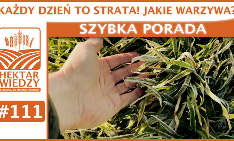 SZYBKA_PORADA_OKLADKA_111