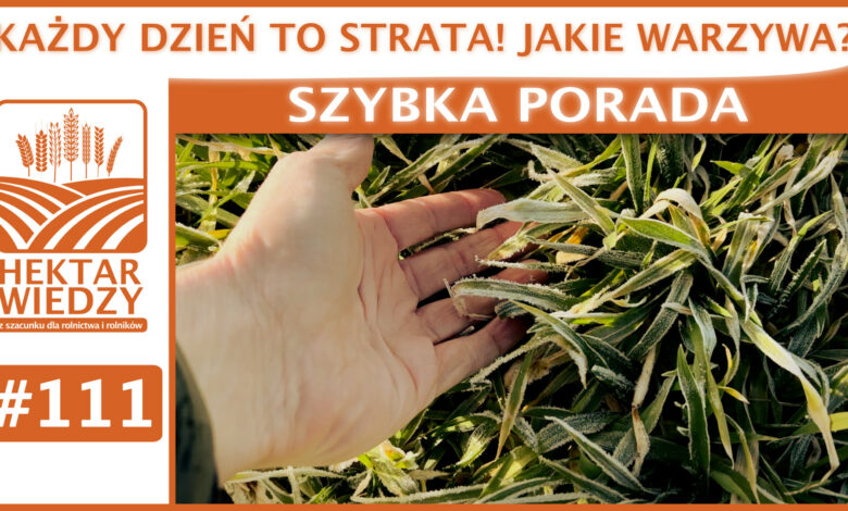 SZYBKA_PORADA_OKLADKA_111