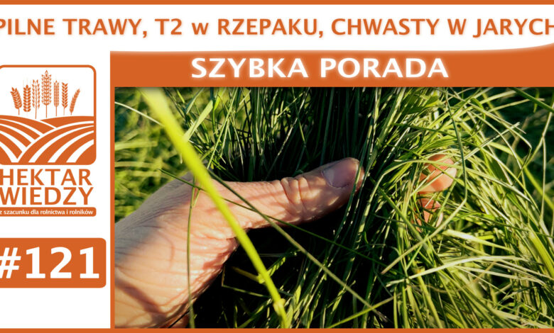 SZYBKA_PORADA_OKLADKA_121