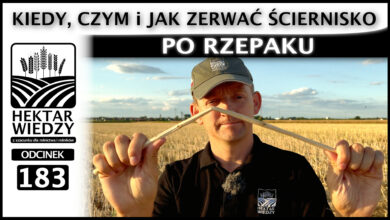 Photo of KIEDY, CZYM i JAK ZERWAĆ ŚCIERNISKO PO RZEPAKU? | ODCINEK 183