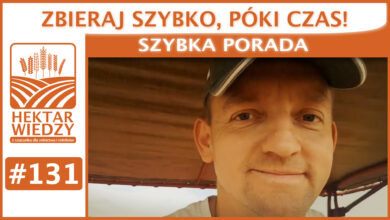 Photo of ZBIERAJ SZYBKO, PÓKI CZAS. | SZYBKA PORADA #131