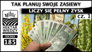 Photo of LICZY SIĘ PEŁNY ZYSK – TAK PLANUJ SWOJE ZASIEWY. Część I | ODCINEK 185