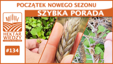 Photo of POCZĄTEK NOWEGO SEZONU