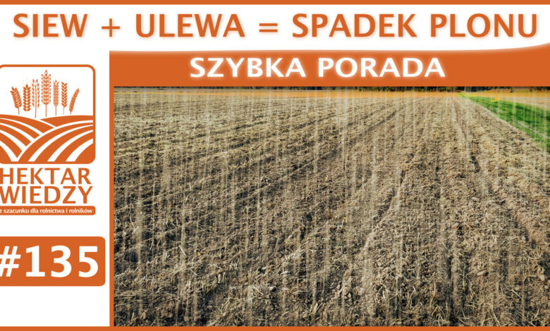 SZYBKA_PORADA_OKLADKA_135