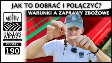 Photo of WARUNKI A ZAPRAWY ZBOŻOWE – JAK TO DOBRAĆ I POŁĄCZYĆ? | ODCINEK 190