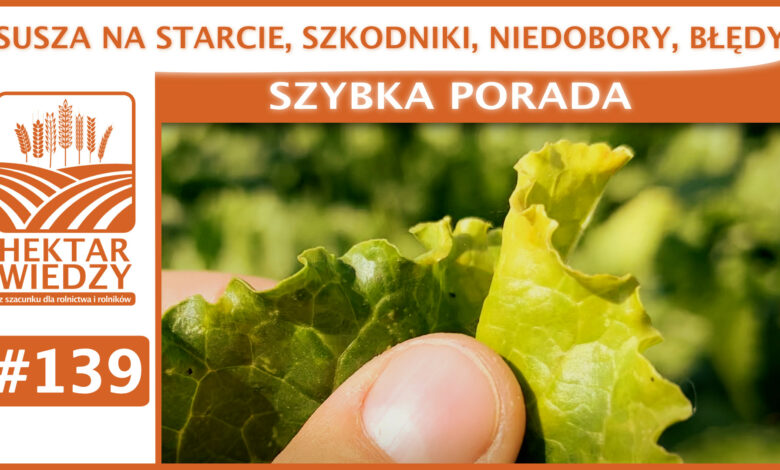 SZYBKA_PORADA_OKLADKA_139