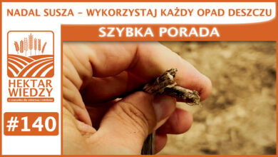 Photo of NADAL SUSZA – WYKORZYSTAJ KAŻDY OPAD DESZCZU. | SZYBKA PORADA #140