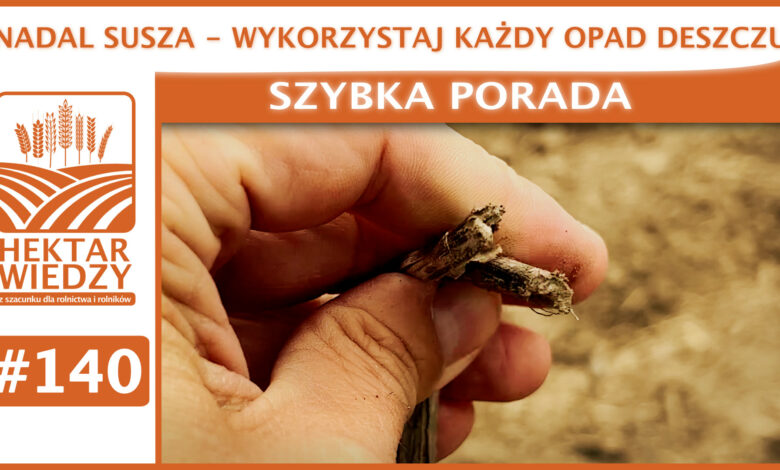 SZYBKA_PORADA_OKLADKA_140