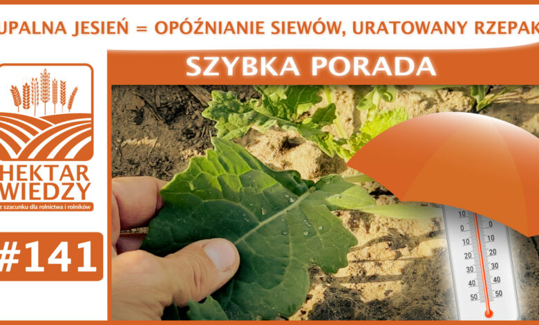 SZYBKA_PORADA_OKLADKA_141