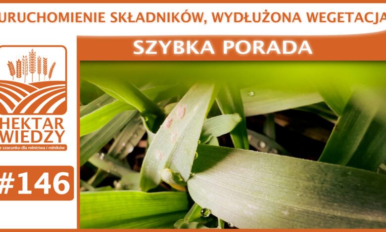 ZYBKA_PORADA_OKLADKA_146