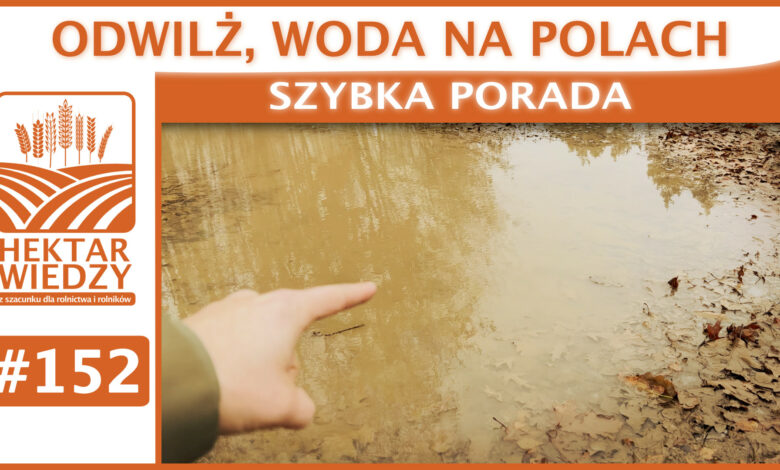 SZYBKA_PORADA_OKLADKA_152