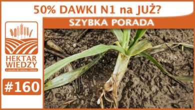 Photo of 50 PROCENT DAWKI N1 na JUŻ?| SZYBKA PORADA #160