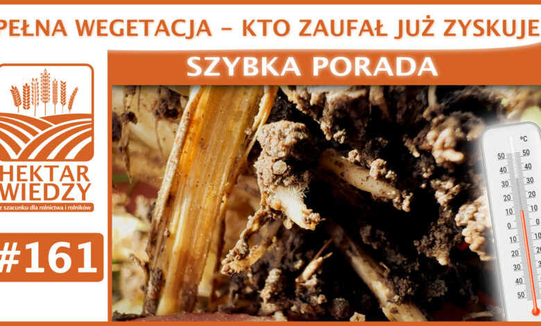 SZYBKA_PORADA_OKLADKA_#161