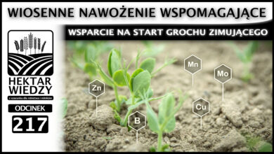 Photo of WIOSENNE NAWOŻENIE WSPOMAGAJĄCE – WSPARCIE NA START GROCHU ZIMUJĄCEGO. | ODCINEK 217