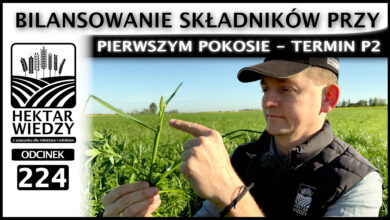 Photo of BILANSOWANIE SKŁADNIKÓW PRZY PIERWSZYM POKOSIE – TERMIN P2. | ODCINEK 224