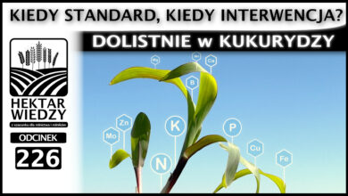 Photo of DOLISTNIE W KUKURYDZY – KIEDY STANDARD, KIEDY INTERWENCJA?| ODCINEK 226