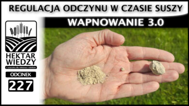 Photo of WAPNOWANIE 3.0 – REGULACJA ODCZYNU W CZASIE SUSZY. | ODCINEK 227