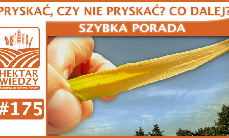 SZYBKA_PORADA_OKLADKA_175