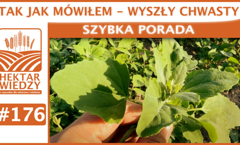 SZYBKA_PORADA_OKLADKA_176