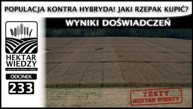 Photo of POPULACJA KONTRA HYBRYDA – JAKI RZEPAK KUPIĆ? WYNIKI DOŚWIADCZEŃ. | ODCINEK 233