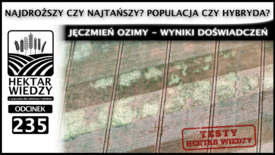 Photo of NAJDROŻSZY CZY NAJTAŃSZY? POPULACJA CZY HYBRYDA? JĘCZMIEŃ OZIMY – WYNIKI DOŚWIADCZEŃ. | ODCINEK 235