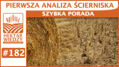 Photo of PIERWSZA ANALIZA ŚCIERNISKA. | SZYBKA PORADA #182