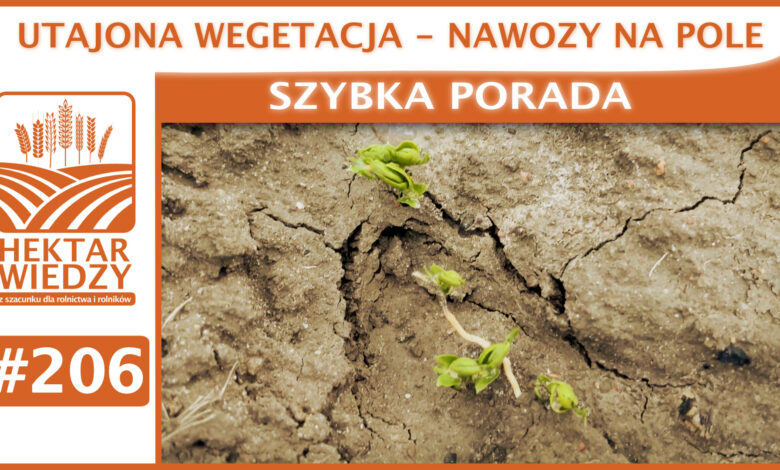 SZYBKA_PORADA_OKLADKA_206