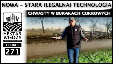 Photo of NOWA – STARA (LEGALNA) TECHNOLOGIA. ODCHWASZCZANIE BURAKÓW CUKROWYCH. | ODCINEK 271