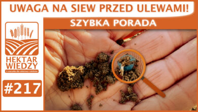 Photo of UWAGA NA SIEW PRZED ULEWAMI! | SZYBKA PORADA #217