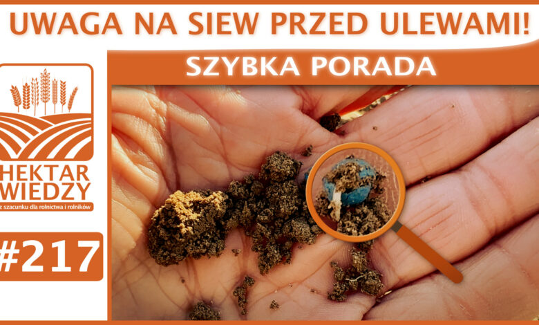 SZYBKA_PORADA_OKLADKA_217