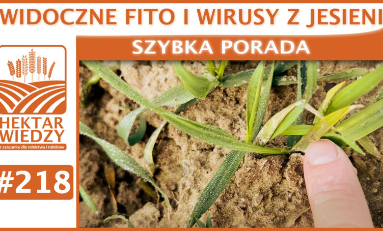 SZYBKA_PORADA_OKLADKA_218
