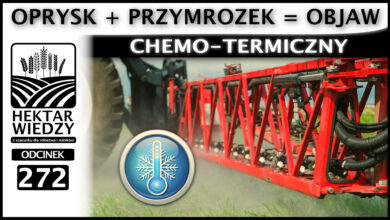 Photo of OPRYSK + PRZYMROZEK = OBJAW CHEMO-TERMICZNY! | ODCINEK 272