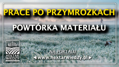 Photo of PRACE PO PRZYMROZKACH – POWTÓRKA MATERIAŁU